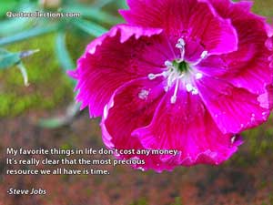 steve_jobs_quotes Quotes 2